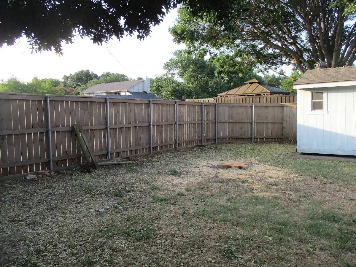 Cleared yard after professional tree removal in West Middlesex