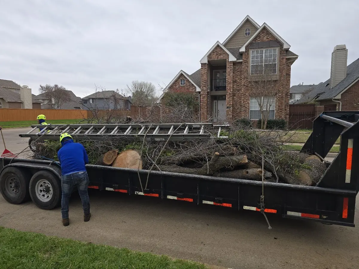 Expert Lot Clearing with proper safety equipment in West Middlesex